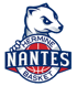 南特 队徽